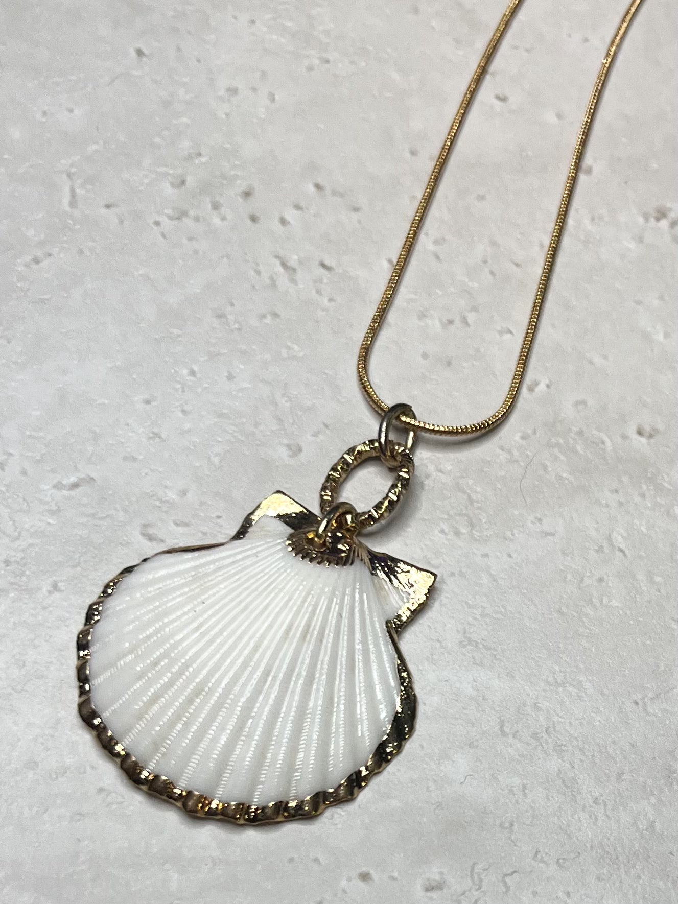 Venus Shell Necklace