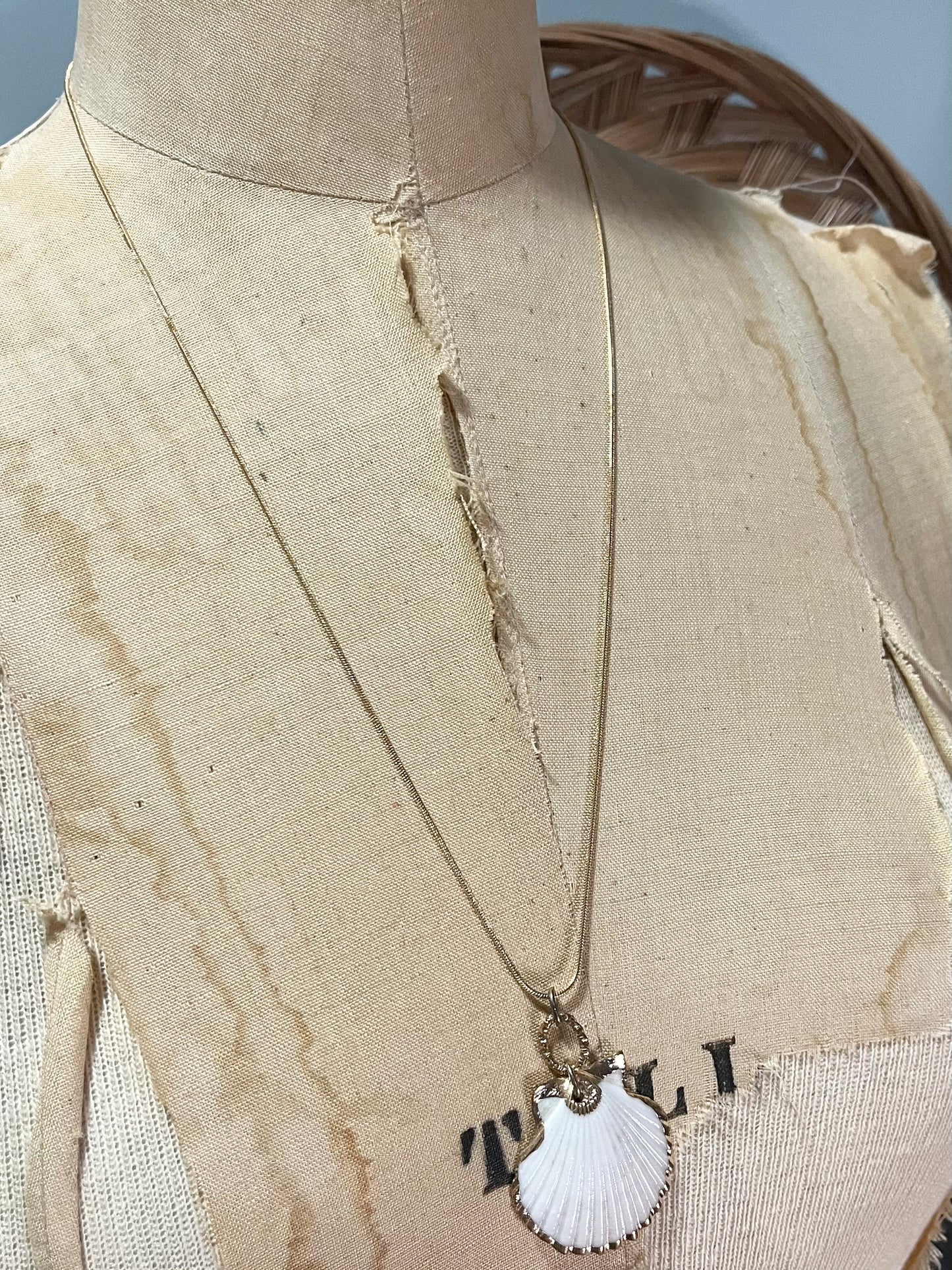 Venus Shell Necklace